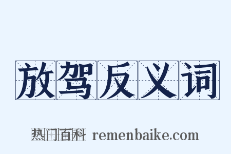 放驾反义词是什么意思的图片